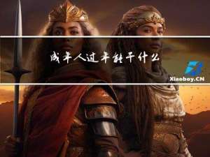 成年人过年能干什么