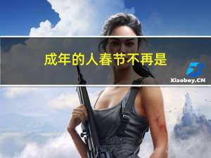 成年的人春节不再是