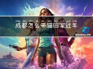 成都怎么带猫回家过年呀