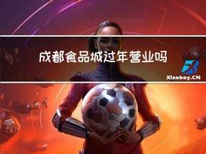 成都食品城过年营业吗