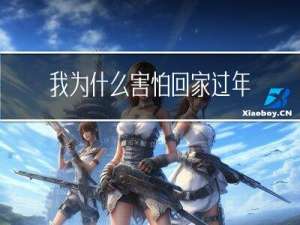 我为什么害怕回家过年英语