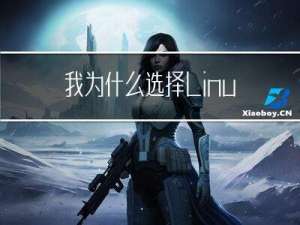 我为什么选择Linux mint 21.1 “Vera“ ？ Mint安装优化调教指南（分辨率DPI）