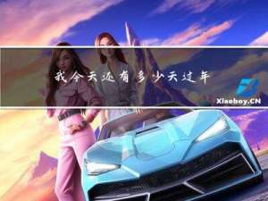 我今天还有多少天过年英文