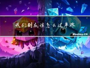 我们到底该怎么过年作文