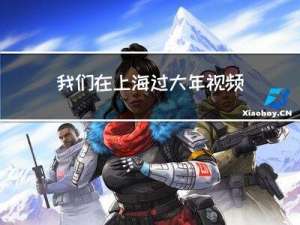 我们在上海过大年视频教程
