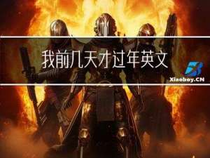 我前几天才过年英文