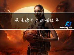 我去你什么时候过年
