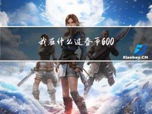 我在什么过春节600