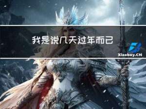 我是说几天过年而已