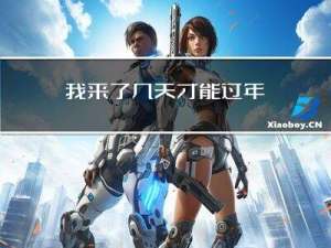 我来了几天才能过年