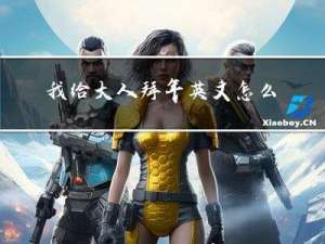 我给大人拜年英文怎么写
