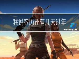 我说农历还有几天过年