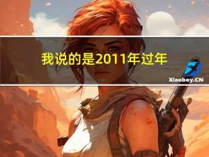 我说的是2011年过年