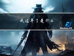 我过年了是什么