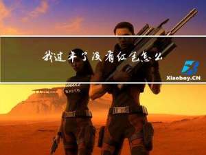 我过年了没有红包怎么办