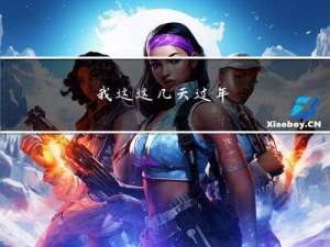 我这这几天过年