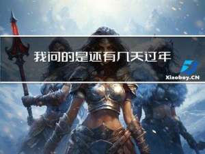 我问的是还有几天过年英文