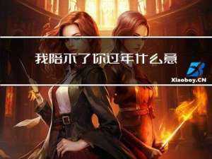 我陪不了你过年什么意思