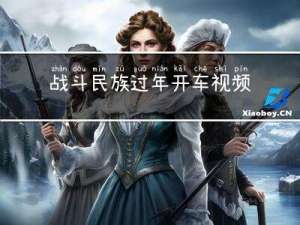 战斗民族过年开车视频大全