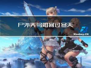 户外养鸟如何过冬天