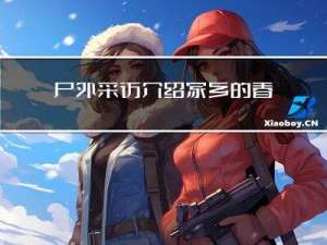 户外采访介绍家乡的春节