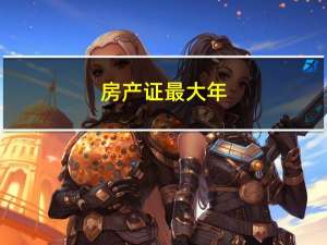 房产证最大年