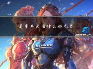 房车冬天用什么燃气方便