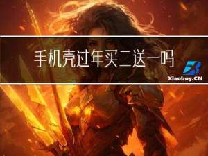 手机壳过年买二送一吗
