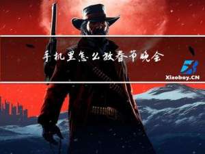 手机里怎么放春节晚会