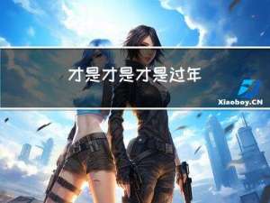 才是才是才是过年