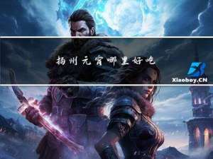 扬州元宵哪里好吃