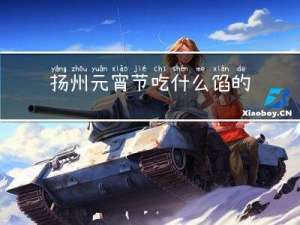 扬州元宵节吃什么馅的元宵