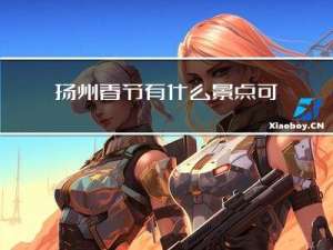 扬州春节有什么景点可以玩