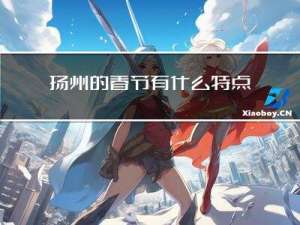 扬州的春节有什么特点