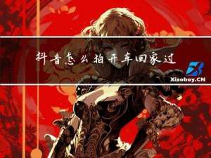 抖音怎么拍开车回家过年