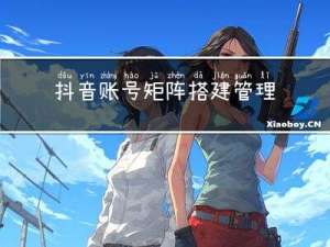 抖音账号矩阵搭建管理获客系统
