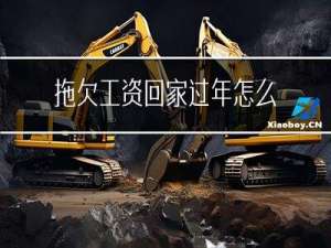 拖欠工资回家过年怎么处理