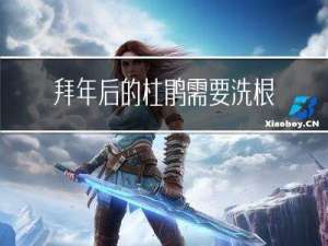 拜年后的杜鹃需要洗根吗