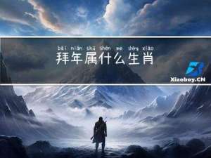 拜年属什么生肖