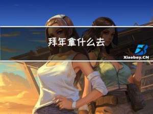 拜年拿什么去