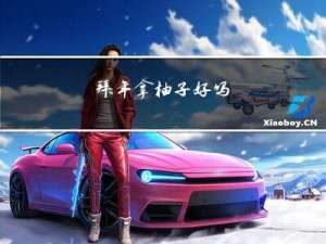 拜年拿柚子好吗