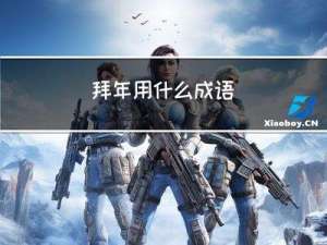 拜年用什么成语