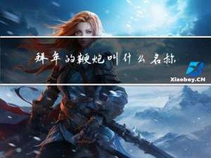 拜年的鞭炮叫什么名称
