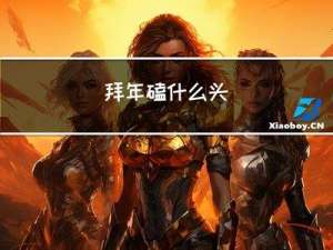 拜年磕什么头