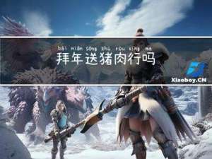 拜年送猪肉行吗