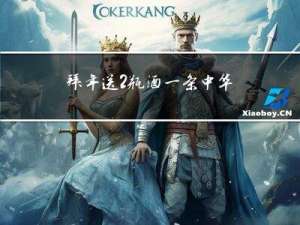 拜年送2瓶酒一条中华好吗