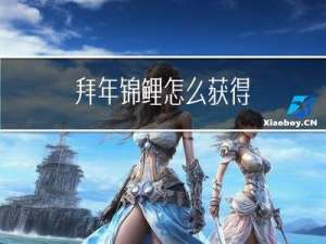 拜年锦鲤怎么获得