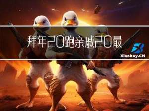 拜年 跑亲戚 最后