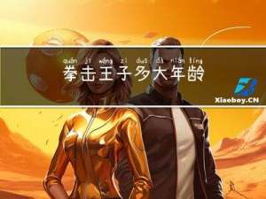 拳击王子多大年龄