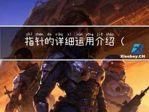 指针的详细运用介绍（高阶）